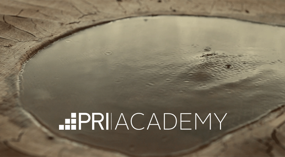 video_introduction_logo_low